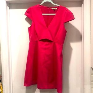 Pink Halston Heritage Cocktail Dress, worn once